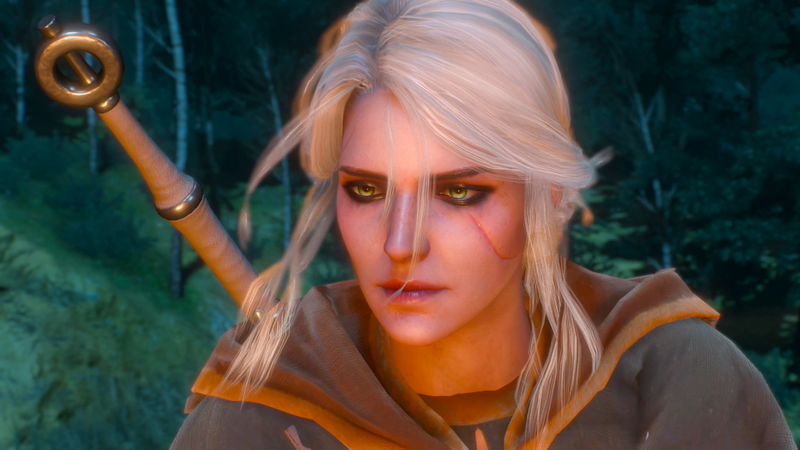 Illustration for article titled The Witcher 3: Wild Hunt: The Kotaku Review